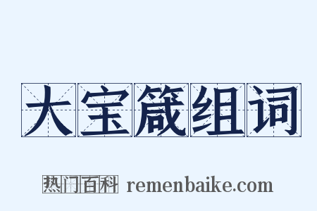 大宝箴组词是什么意思的图片